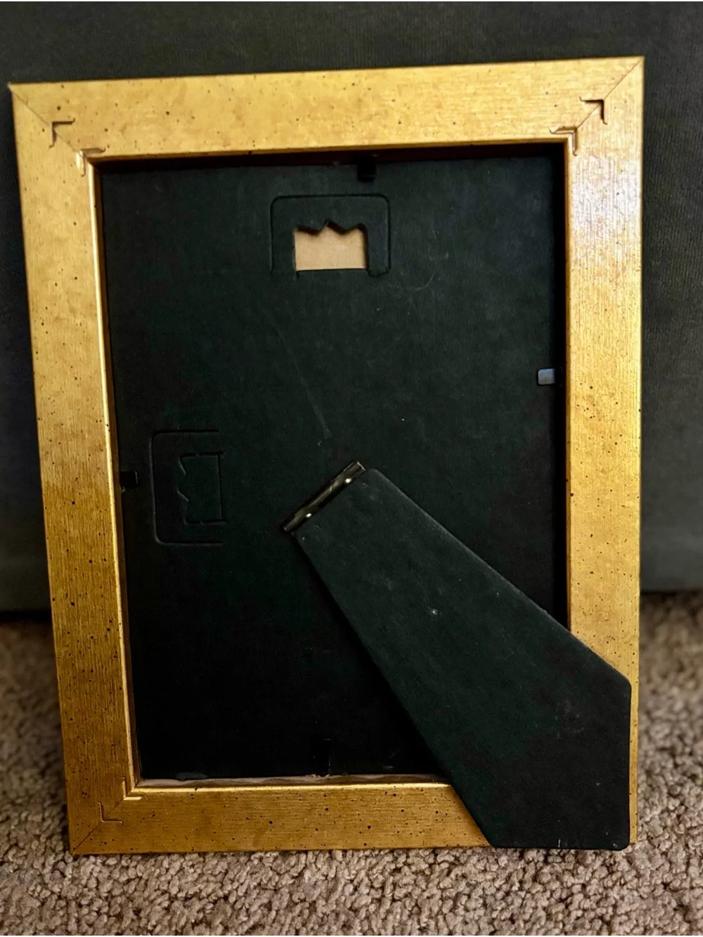 Shimmery Gold Picture Frame with Floral Matting - Gold